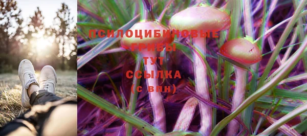 бошки Михайловск