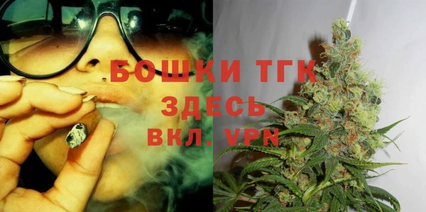 крисы Медногорск