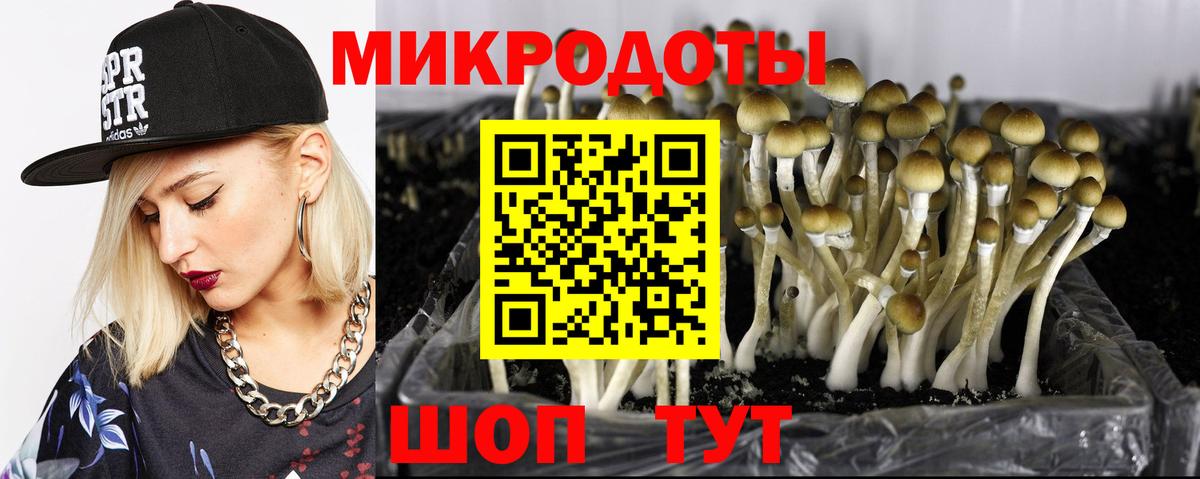 Псилоцибиновые грибы мицелий  Вход с VPN  Нарьян-Мар 